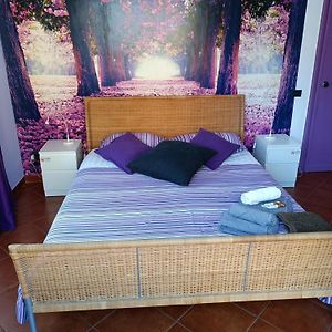 B&B Claudia A Monteverde